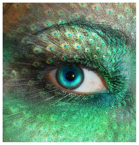 eyepeacockmakeupdigitalartphotographybeautiful-b5a5952f94206e95bbf5ed564bb53b2c_h.jpg