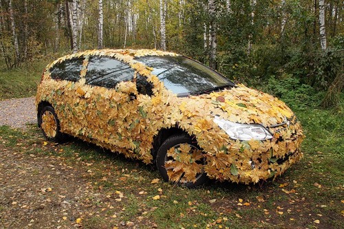 cool-car-autumn leaves X.jpg