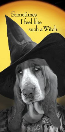 halloween witch basset X.PNG