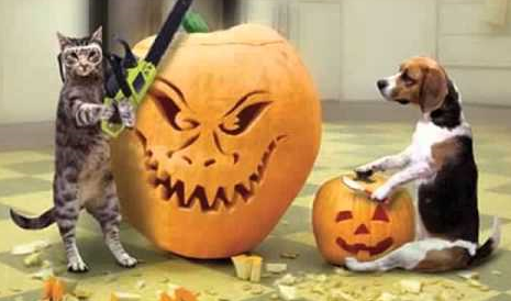 dog and cat carve pumpkin X.PNG