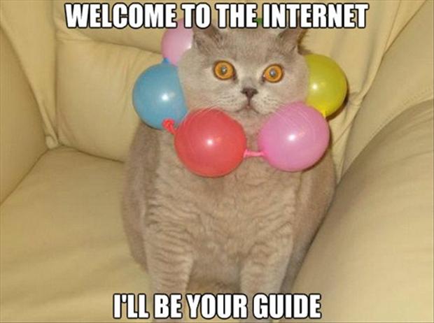 cat guide to the internet X.jpg