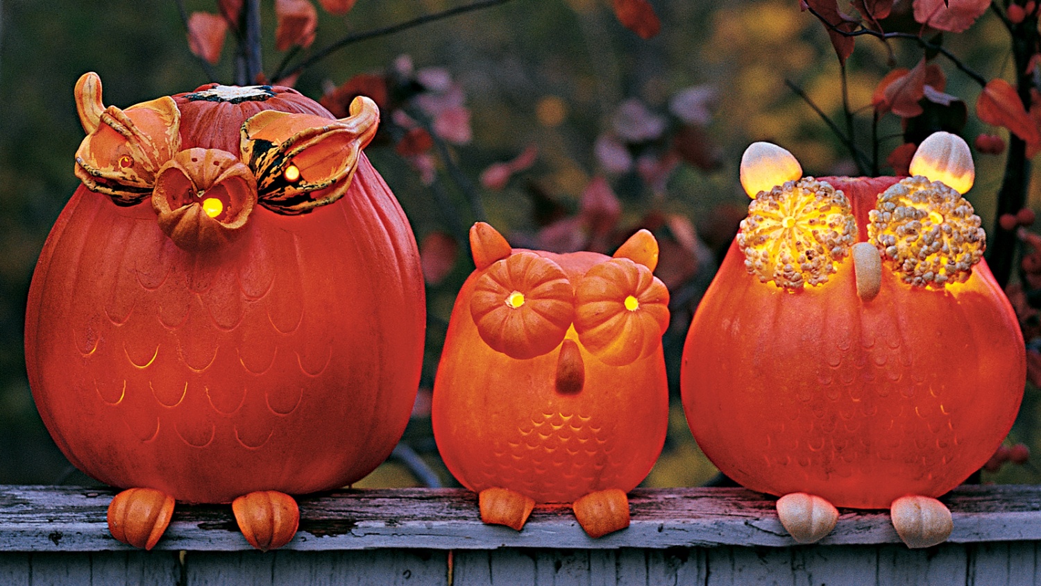 pumpkin-carving-owl-design.jpg