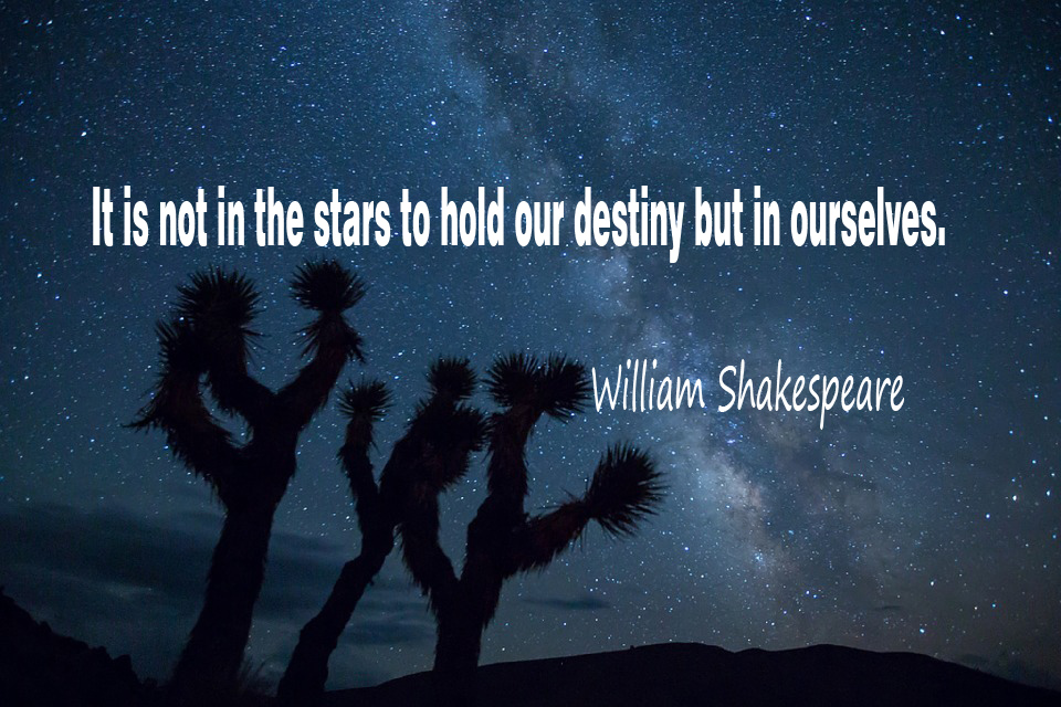 It-is-not-in-the-stars-to-hold-our-destiny-but-in-ourselves.jpg