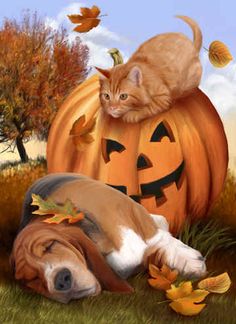 basset halloween.jpg