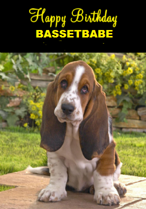 adorable-basset-hound-dog-personalised-birthday-card-8236-p.png