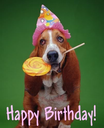 birthday basset.jpg