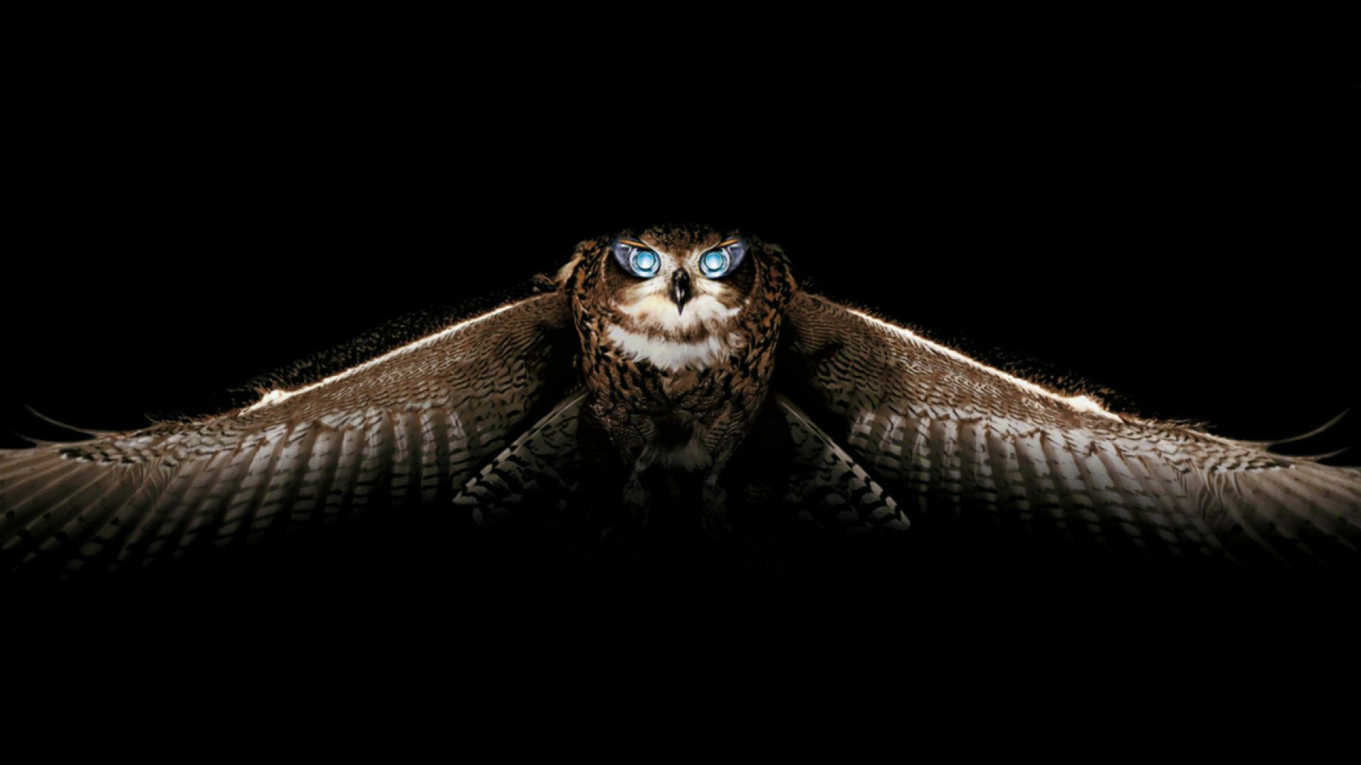 horned owl.jpg