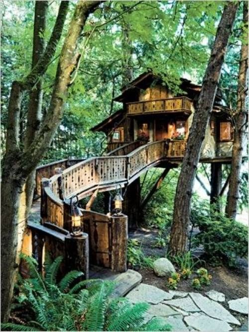 tree house l.jpg