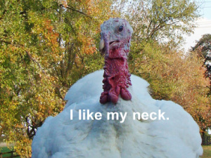 turkey-neck.jpg