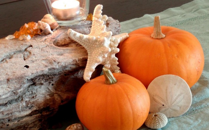 autumn_beach_shells_pumpkins_still_life_hd-wallpaper-1593396-690x431.jpg