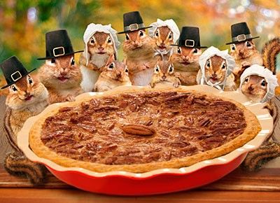 Thanksgiving chipmunks.jpg