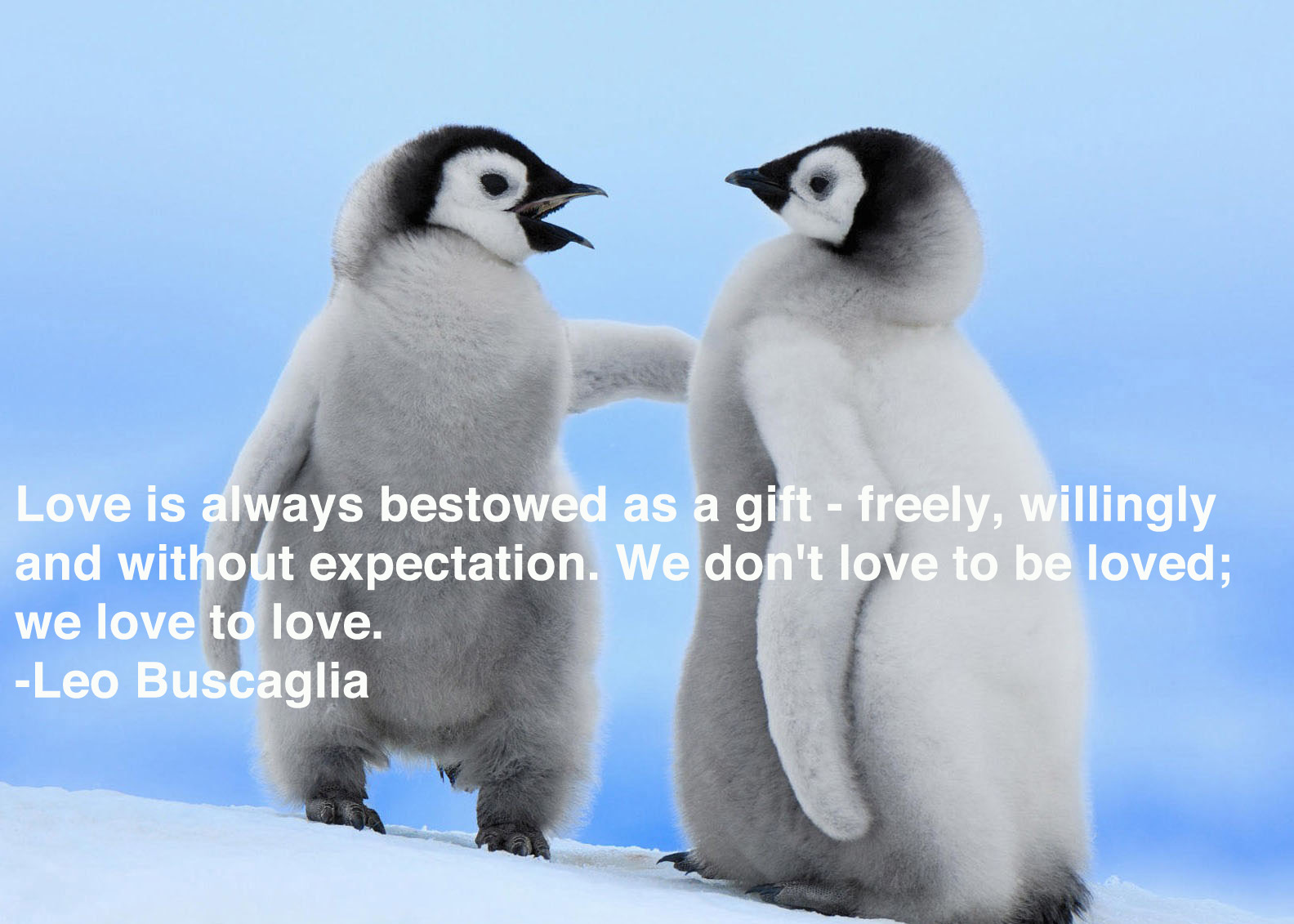 penguin-quotes-5.jpg