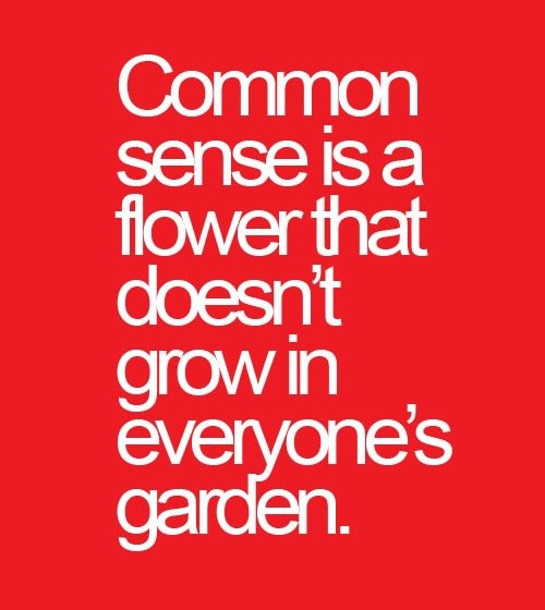 39647-common-sense-quote-garden.jpg