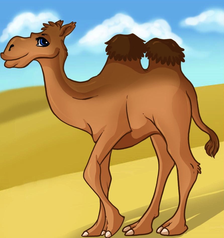 cartoon-camel.jpg