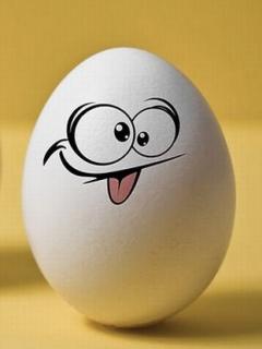 funny_egg_pictures_4.jpg