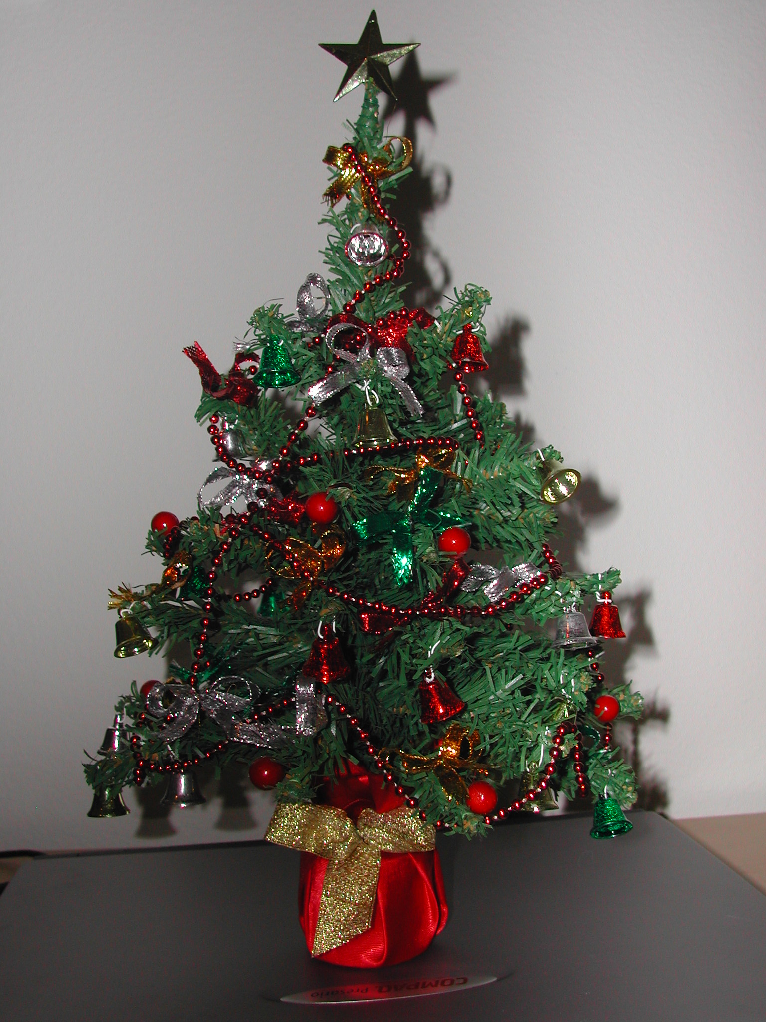 Siver's XMas tree.JPG