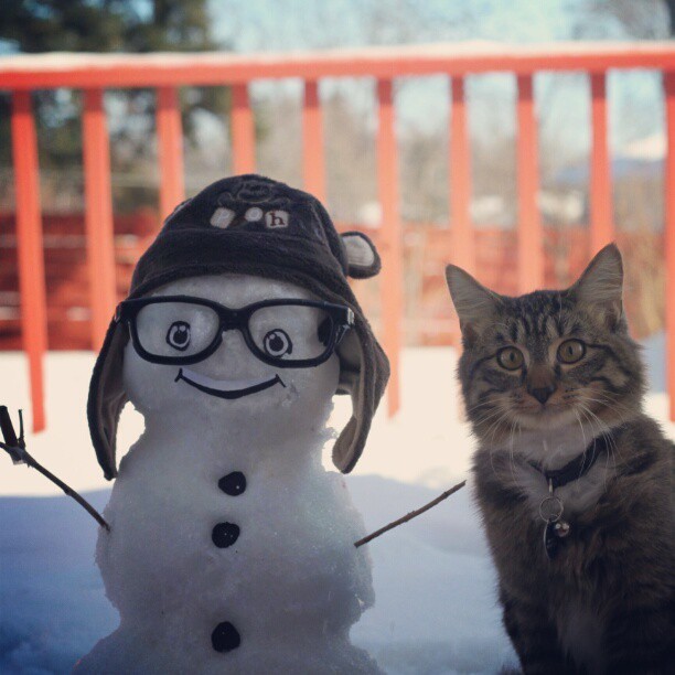 cat and snowman selfie X.jpg