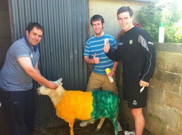 green and gold sheep X.jpg