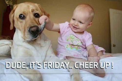 kid-making-a-dog-cheer-up-on-friday.jpg